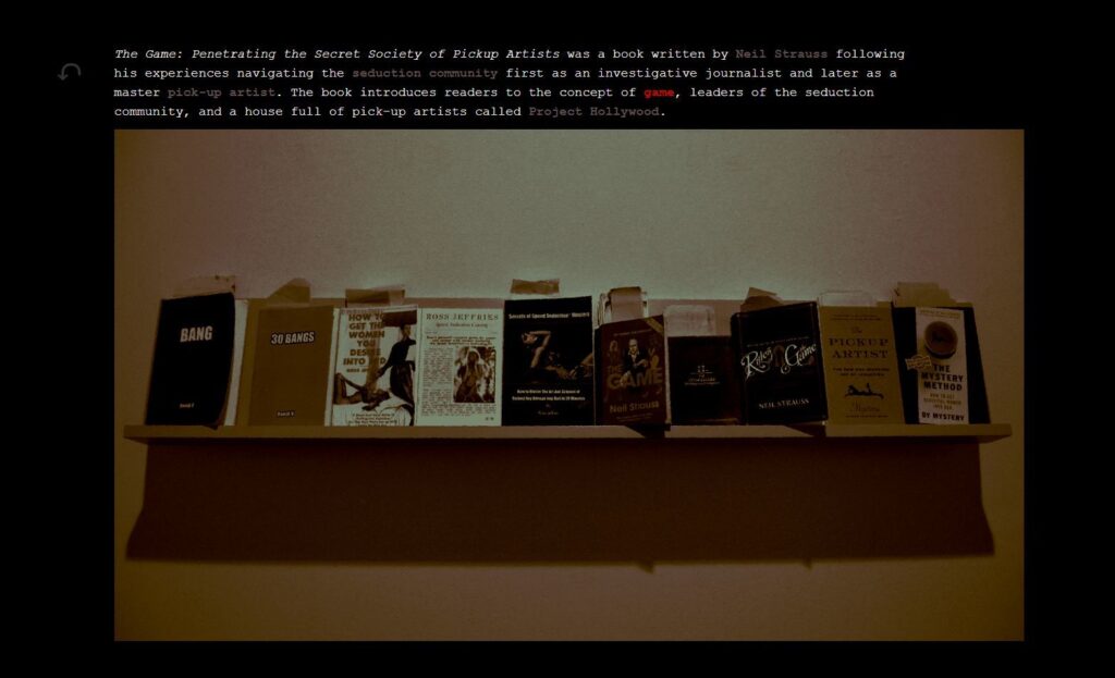 The Game: The Game: The Game – 2020 – Angela Washko – Educational – screenshot 2