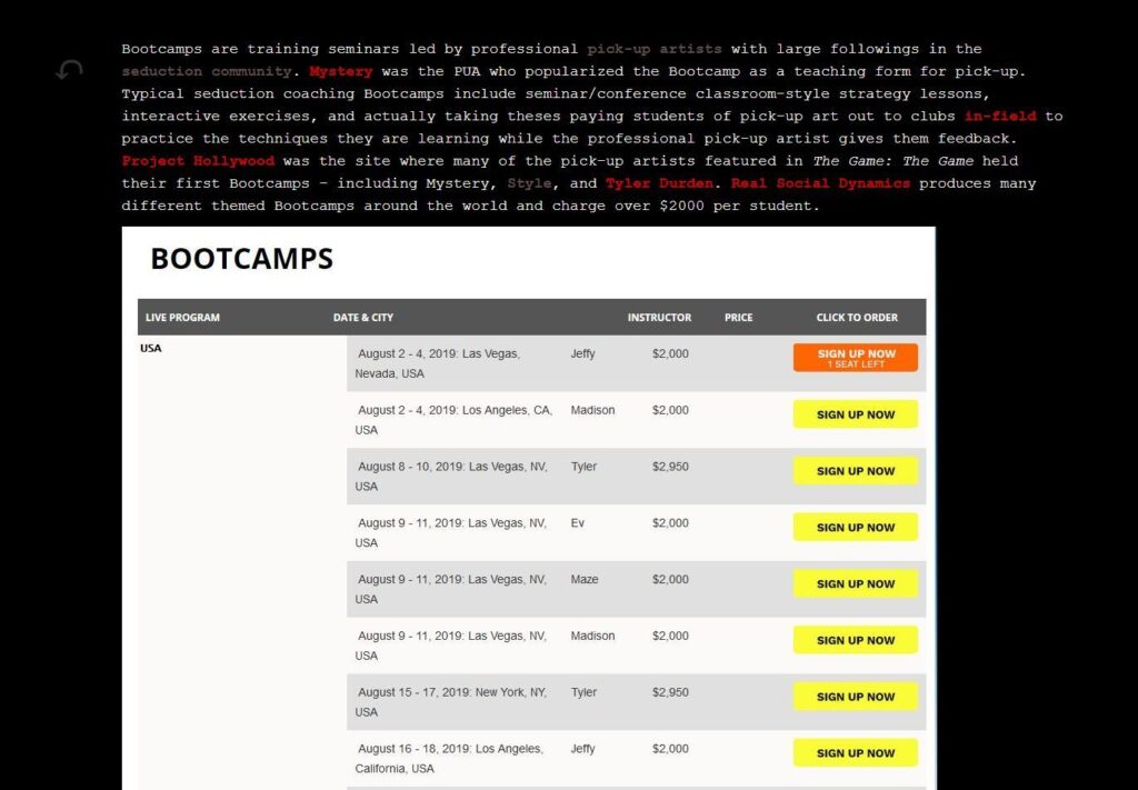 The Game: The Game: The Game – 2020 – Angela Washko – Educational – screenshot 4