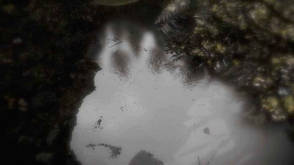 Reflecting Fate – 2017 – starmops – Action – screenshot 1