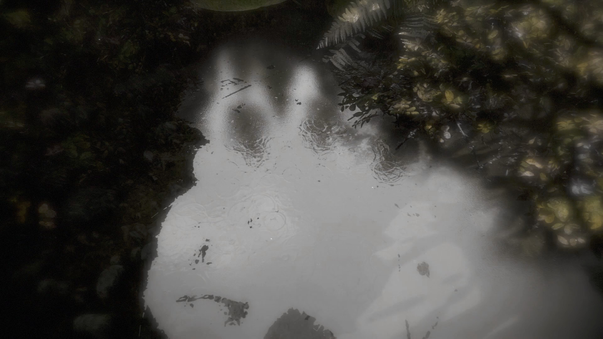 Reflecting Fate – 2017 – starmops – Action – screenshot 1